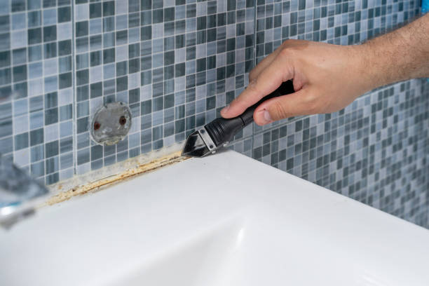 Best Preventive Mold Services in Contoocook, NH